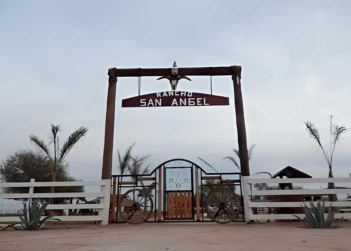 san-a